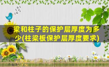 梁和柱子的保护层厚度为多少(柱梁板保护层厚度要求)