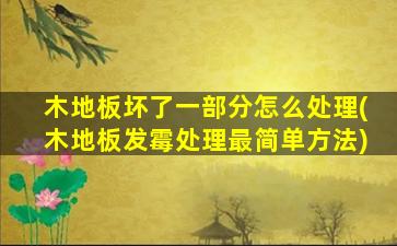 木地板坏了一部分怎么处理(木地板发霉处理最简单方法)