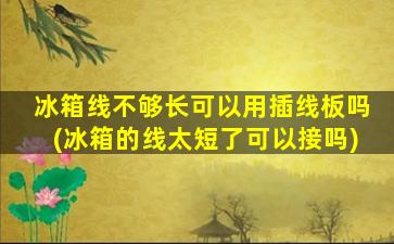 冰箱线不够长可以用插线板吗(冰箱的线太短了可以接吗)