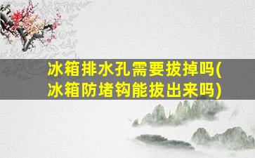 冰箱排水孔需要拔掉吗(冰箱防堵钩能拔出来吗)