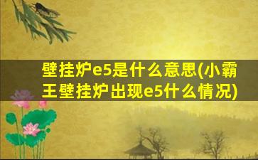 壁挂炉e5是什么意思(小霸王壁挂炉出现e5什么情况)