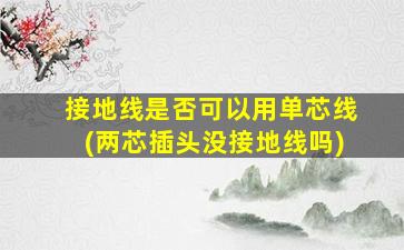 接地线是否可以用单芯线(两芯插头没接地线吗)