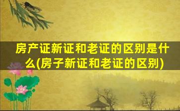 房产证新证和老证的区别是什么(房子新证和老证的区别)