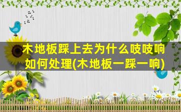 木地板踩上去为什么吱吱响如何处理(木地板一踩一响)