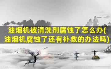 油烟机被清洗剂腐蚀了怎么办(油烟机腐蚀了还有补救的办法吗)