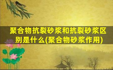 聚合物抗裂砂浆和抗裂砂浆区别是什么(聚合物砂浆作用)