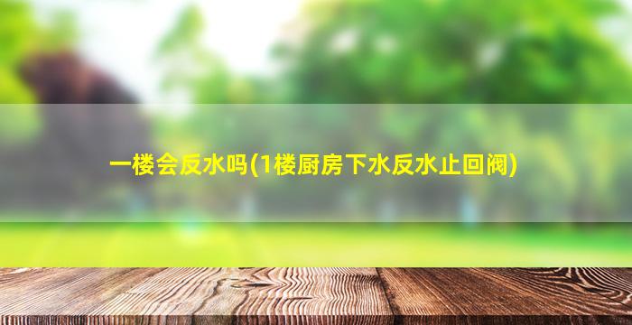一楼会反水吗(1楼厨房下水反水止回阀)