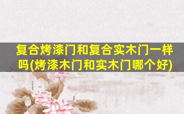 复合烤漆门和复合实木门一样吗(烤漆木门和实木门哪个好)