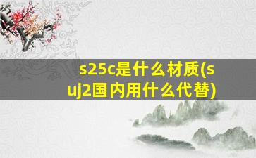 s25c是什么材质(suj2国内用什么代替)