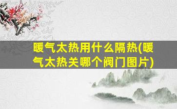 暖气太热用什么隔热(暖气太热关哪个阀门图片)