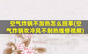 空气炸锅不加热怎么回事(空气炸锅吹冷风不制热维修视频)