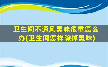 卫生间不通风臭味很重怎么办(卫生间怎样除掉臭味)