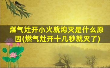 煤气灶开小火就熄灭是什么原因(燃气灶开十几秒就灭了)