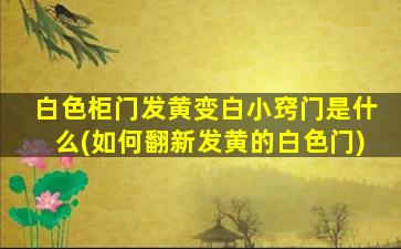 白色柜门发黄变白小窍门是什么(如何翻新发黄的白色门)