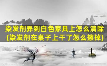 染发剂弄到白色家具上怎么清除(染发剂在桌子上干了怎么擦掉)