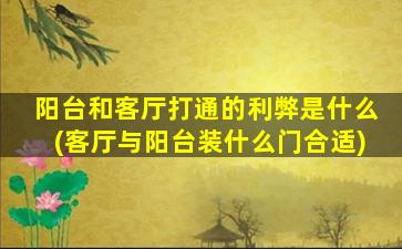 阳台和客厅打通的利弊是什么(客厅与阳台装什么门合适)