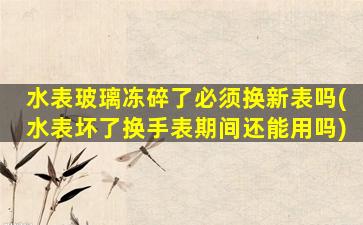 水表玻璃冻碎了必须换新表吗(水表坏了换手表期间还能用吗)
