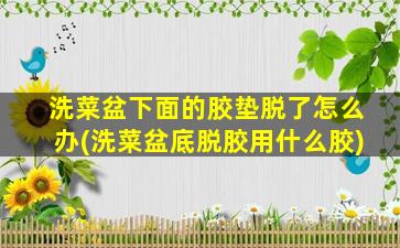 洗菜盆下面的胶垫脱了怎么办(洗菜盆底脱胶用什么胶)