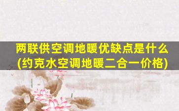 两联供空调地暖优缺点是什么(约克水空调地暖二合一价格)