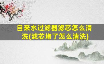 自来水过滤器滤芯怎么清洗(滤芯堵了怎么清洗)