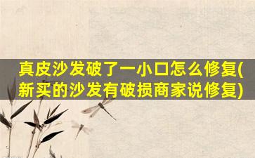 真皮沙发破了一小口怎么修复(新买的沙发有破损商家说修复)