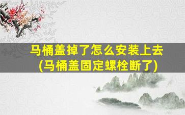 马桶盖掉了怎么安装上去(马桶盖固定螺栓断了)