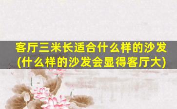 客厅三米长适合什么样的沙发(什么样的沙发会显得客厅大)