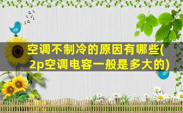空调不制冷的原因有哪些(2p空调电容一般是多大的)