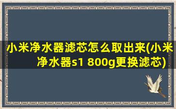 小米净水器滤芯怎么取出来(小米净水器s1 800g更换滤芯)