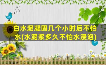 白水泥凝固几个小时后不怕水(水泥浆多久不怕水浸泡)