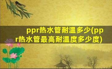 ppr热水管耐温多少(ppr热水管最高耐温度多少度)