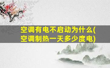 空调有电不启动为什么(空调制热一天多少度电)