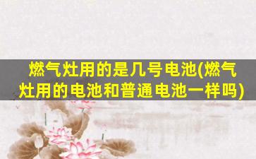 燃气灶用的是几号电池(燃气灶用的电池和普通电池一样吗)