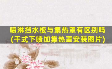 喷淋挡水板与集热罩有区别吗(干式下喷加集热罩安装图片)