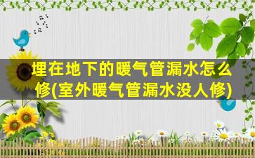 埋在地下的暖气管漏水怎么修(室外暖气管漏水没人修)