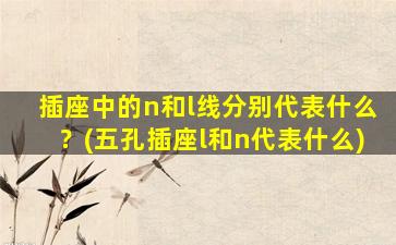 插座中的n和l线分别代表什么？(五孔插座l和n代表什么)