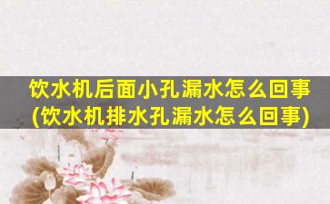 饮水机后面小孔漏水怎么回事(饮水机排水孔漏水怎么回事)