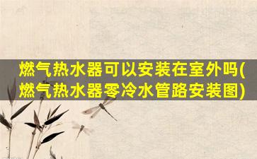 燃气热水器可以安装在室外吗(燃气热水器零冷水管路安装图)