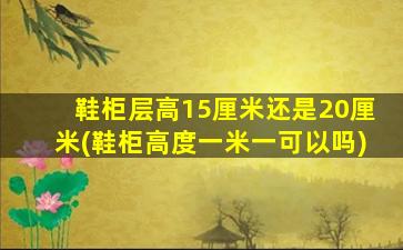 鞋柜层高15厘米还是20厘米(鞋柜高度一米一可以吗)