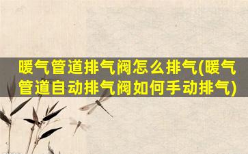 暖气管道排气阀怎么排气(暖气管道自动排气阀如何手动排气)