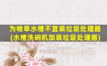 为啥单水槽不宜装垃圾处理器(水槽洗碗机加装垃圾处理器)
