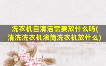 洗衣机自清洁需要放什么吗(清洗洗衣机滚筒洗衣机放什么)