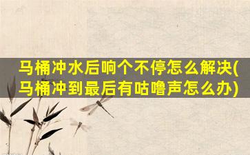 马桶冲水后响个不停怎么解决(马桶冲到最后有咕噜声怎么办)