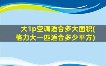 大1p空调适合多大面积(格力大一匹适合多少平方)