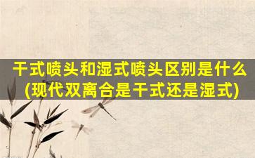 干式喷头和湿式喷头区别是什么(现代双离合是干式还是湿式)