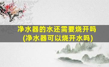 净水器的水还需要烧开吗(净水器可以烧开水吗)