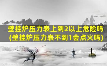 壁挂炉压力表上到2以上危险吗(壁挂炉压力表不到1会点火吗)