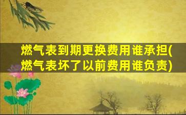 燃气表到期更换费用谁承担(燃气表坏了以前费用谁负责)