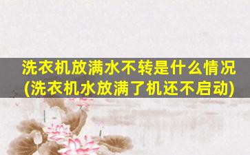 洗衣机放满水不转是什么情况(洗衣机水放满了机还不启动)