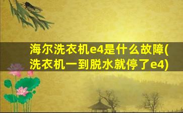 海尔洗衣机e4是什么故障(洗衣机一到脱水就停了e4)